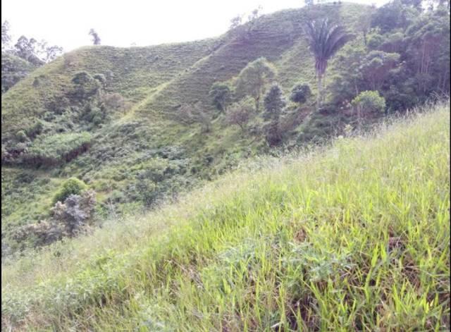 Vendo terreno de 4 alqueires em Ribeirão, Vargem Alta - Foto 7