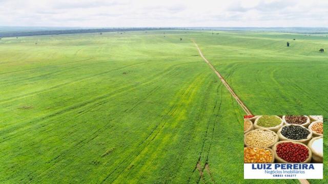 FAZENDA A VENDA P/ AGRICULTURA, PROJETO IRRIGAÇÃO EM LAGOA DA CONFUSÃO -TO - Foto 2