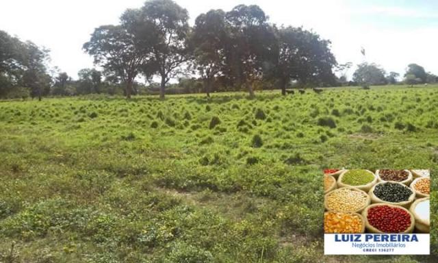 FAZENDA A VENDA DE 906 ALQUEIRÕES EM ARAGUAÇU - TO (Dupla Aptidão) - Foto 10