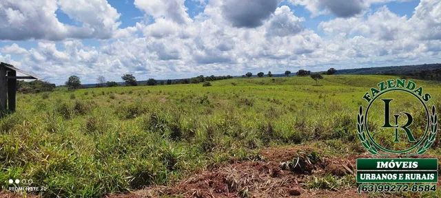Fazenda 62 Alqueires  Oportunidade Próximo a Palmas - Foto 3