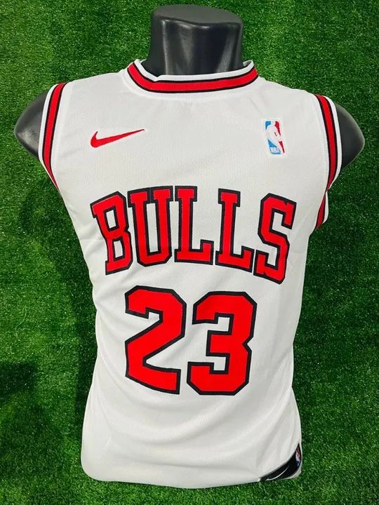 Regata de basquete Bulls