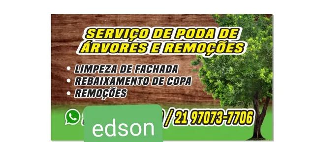 Poda de árvores  profissional ?