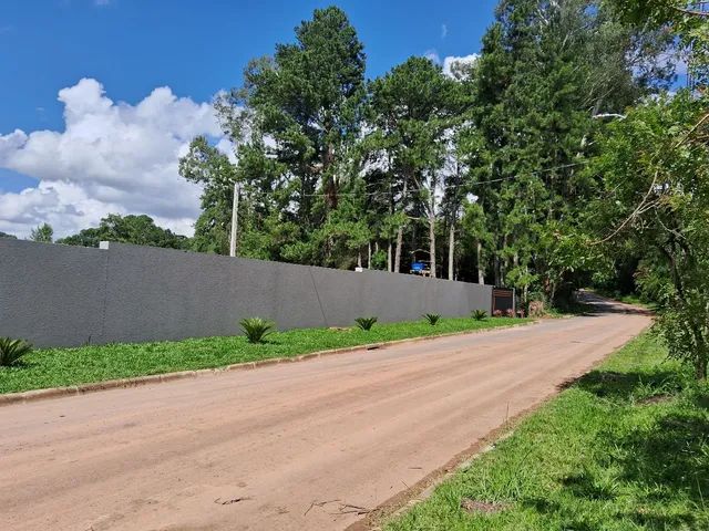 Terrenos ## Butiatuvinha Cond Fechado Estr Ângelo Pianaro ## * - Foto 3