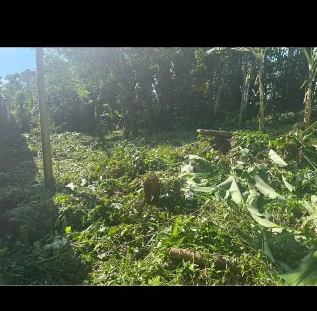 foto - Ubatuba - Taquaral