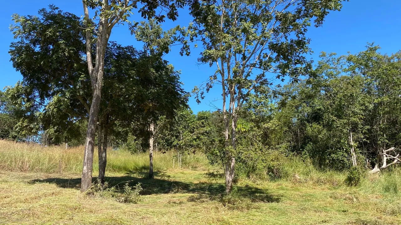 Chácara de 2mil mt com muita natureza e paz em um só lugar!