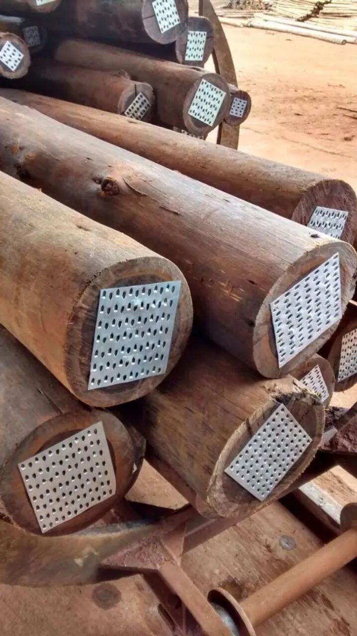 Eucalipto tratado, madeiras de lei