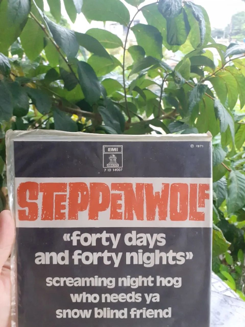 Steppenwolf Lote com 02 discos de vinil compactos - Foto 2