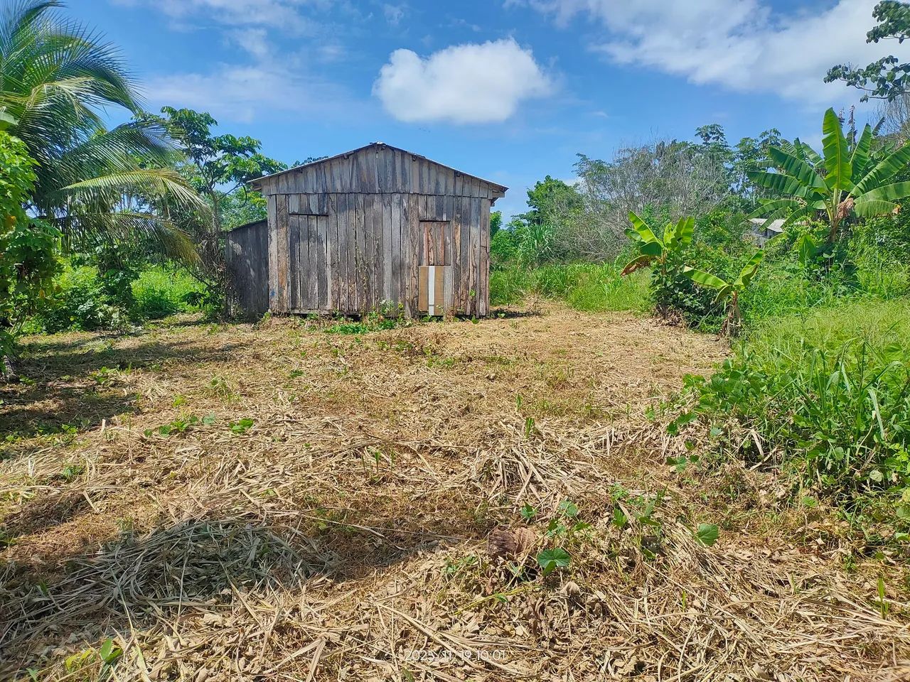 Foto - Rio Branco - Alto Alegre