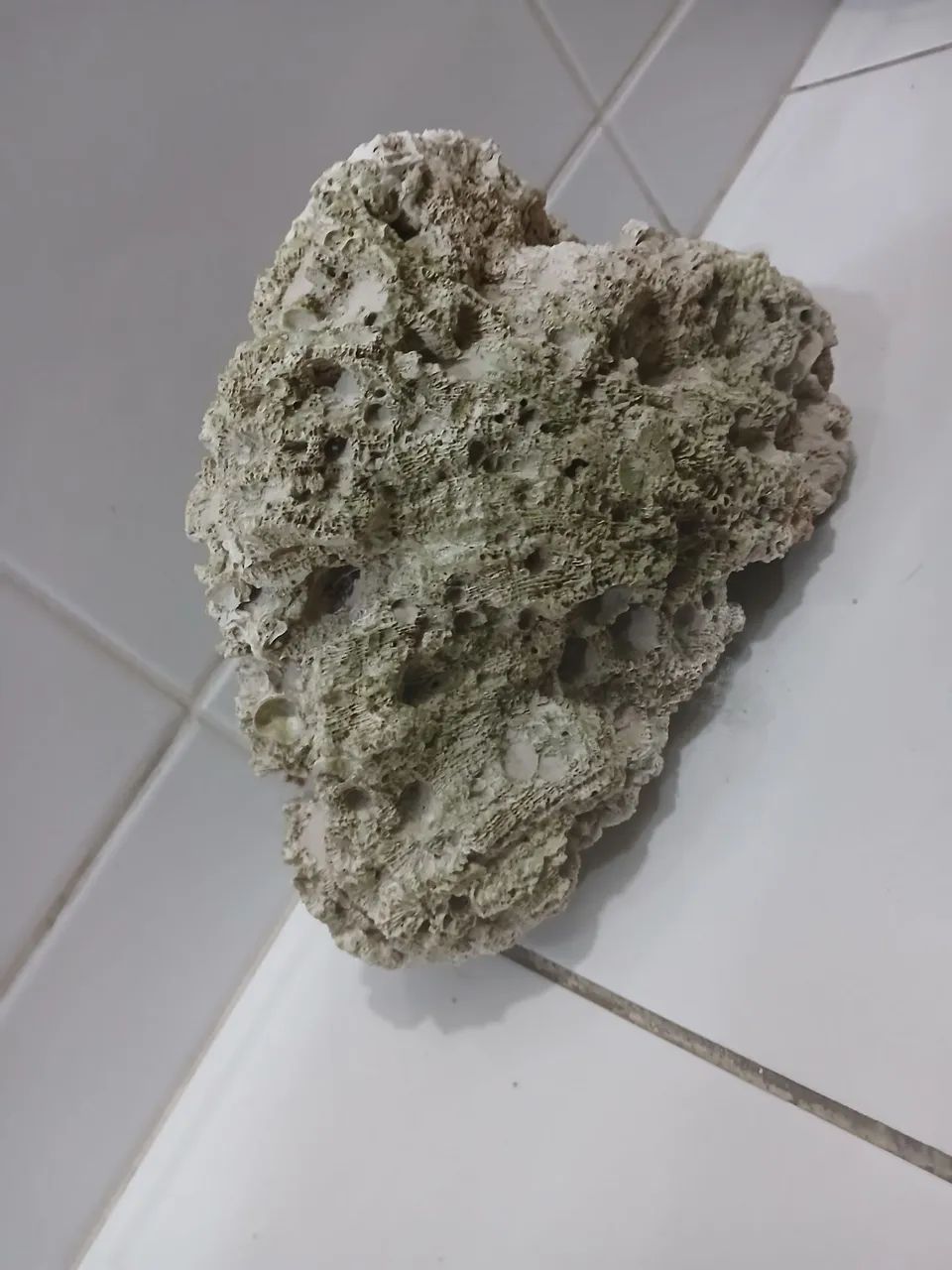 Rocha  aquario marinho (dry  rock)