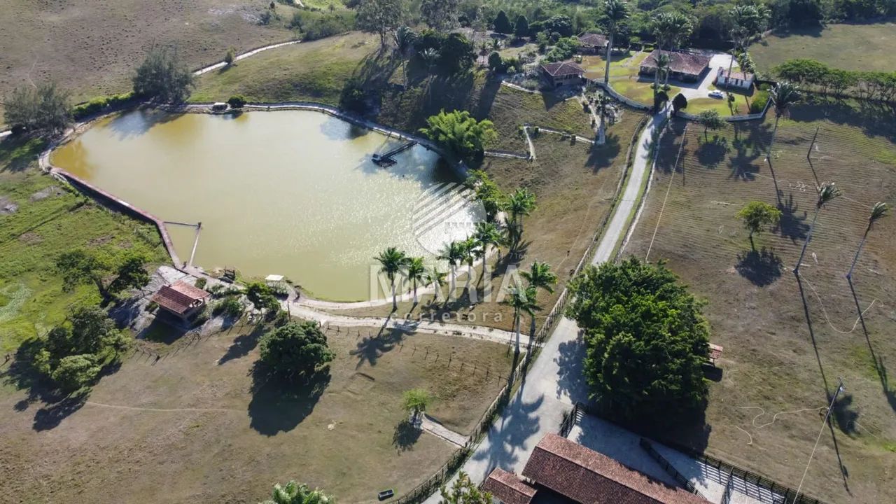 Fazenda à venda com 300 hectares com excelente acesso e uma extraordinária vista!! - Foto 3