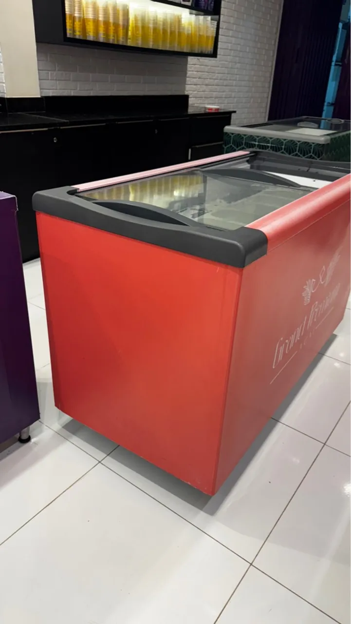 Freezer Expositor de Sorvete 318 Litros - Perfeito para o seu negócio!