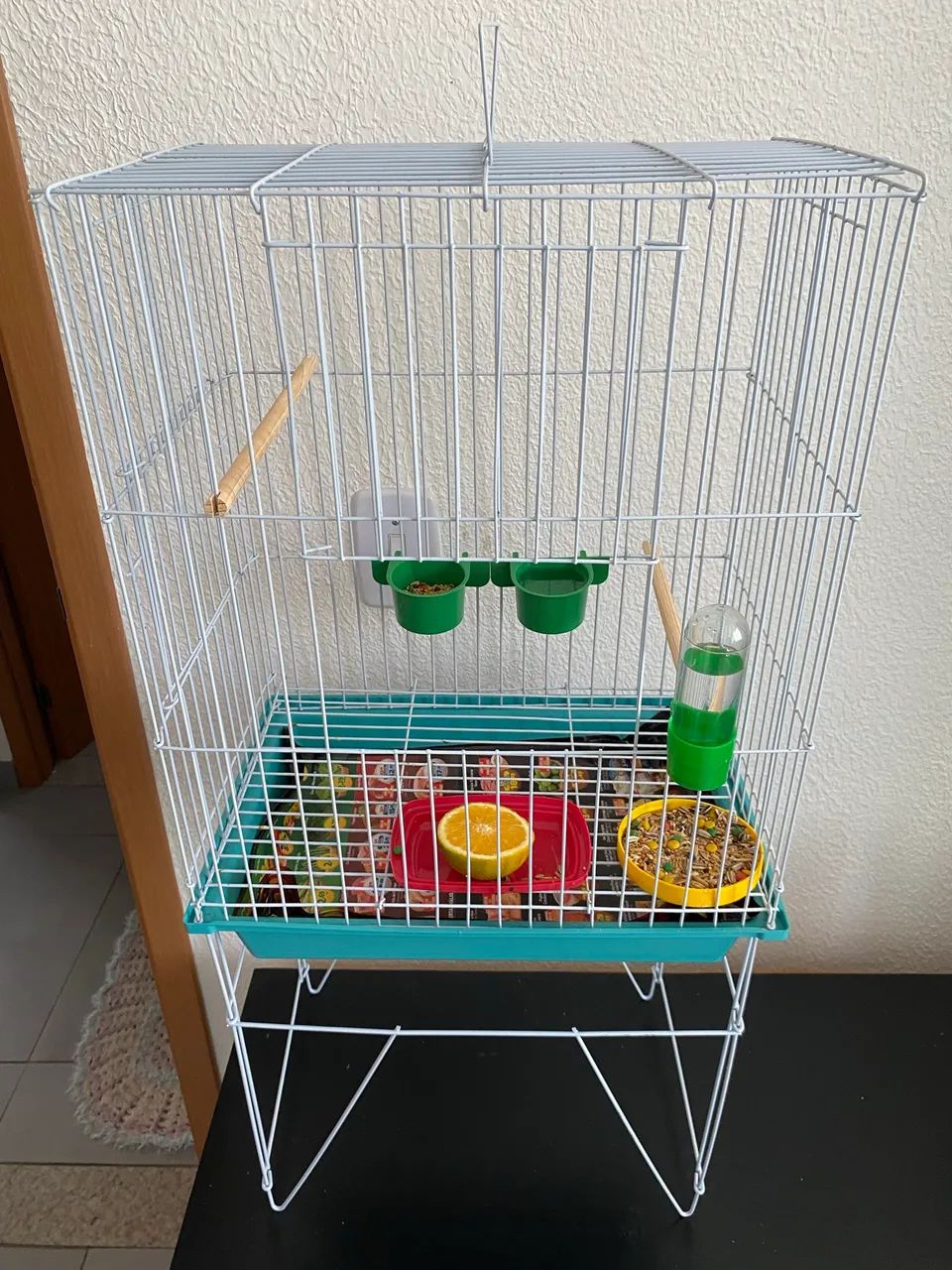 Gaiola64861039404291121