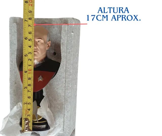 Star Treck Busto Captain Picard - Limited Edition Bust - Foto 5