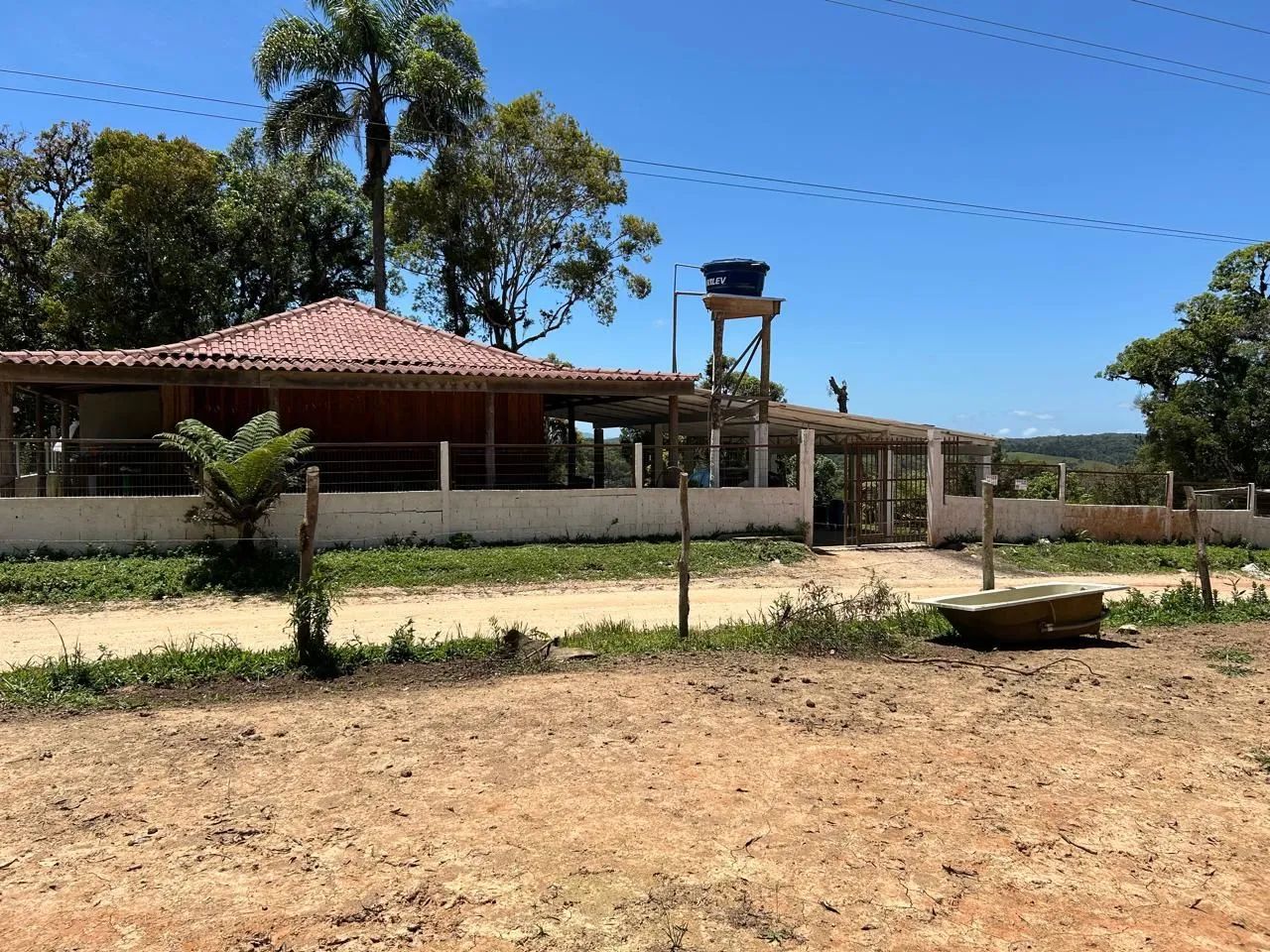 Foto - São José dos Pinhais - Borda do Campo
