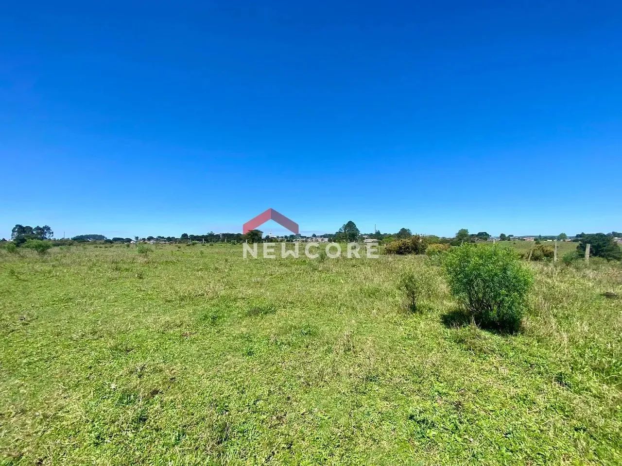 Lote em Campo do meio - Campo do Meio - São Francisco de Paula/RS - Foto 4