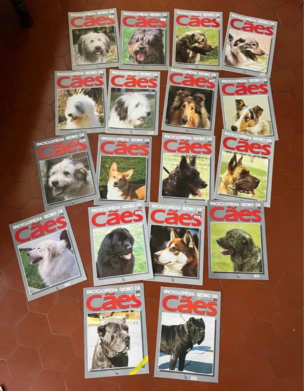 35 Capas Enciclopédia Globo De Caes