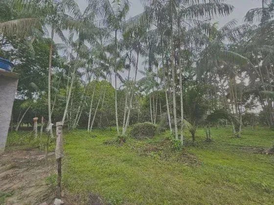 Fazenda/Sítio/Chácara, em Castanhal/PA,  250.000m², BR 316 KM 78, Passando Travessa do 15,