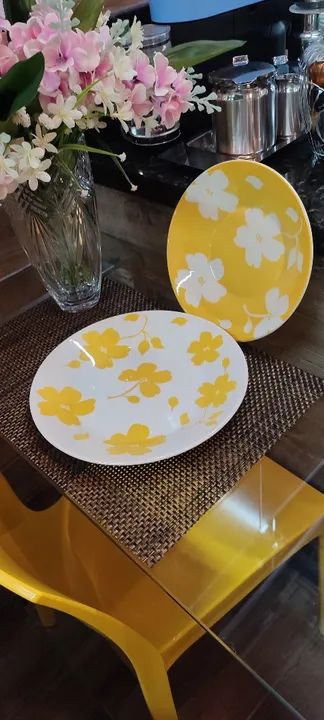 Pratos rasos e pratos fundos 