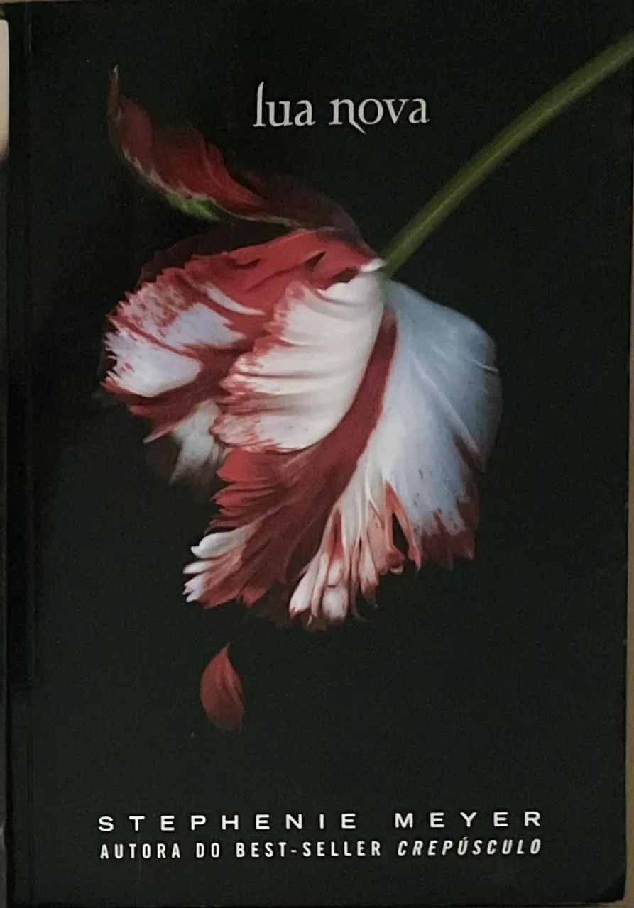Livros: Lua nova, Eclipse e amanhecer - Foto 3