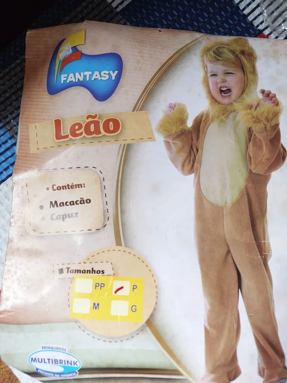 Fantasia infantil Leão 