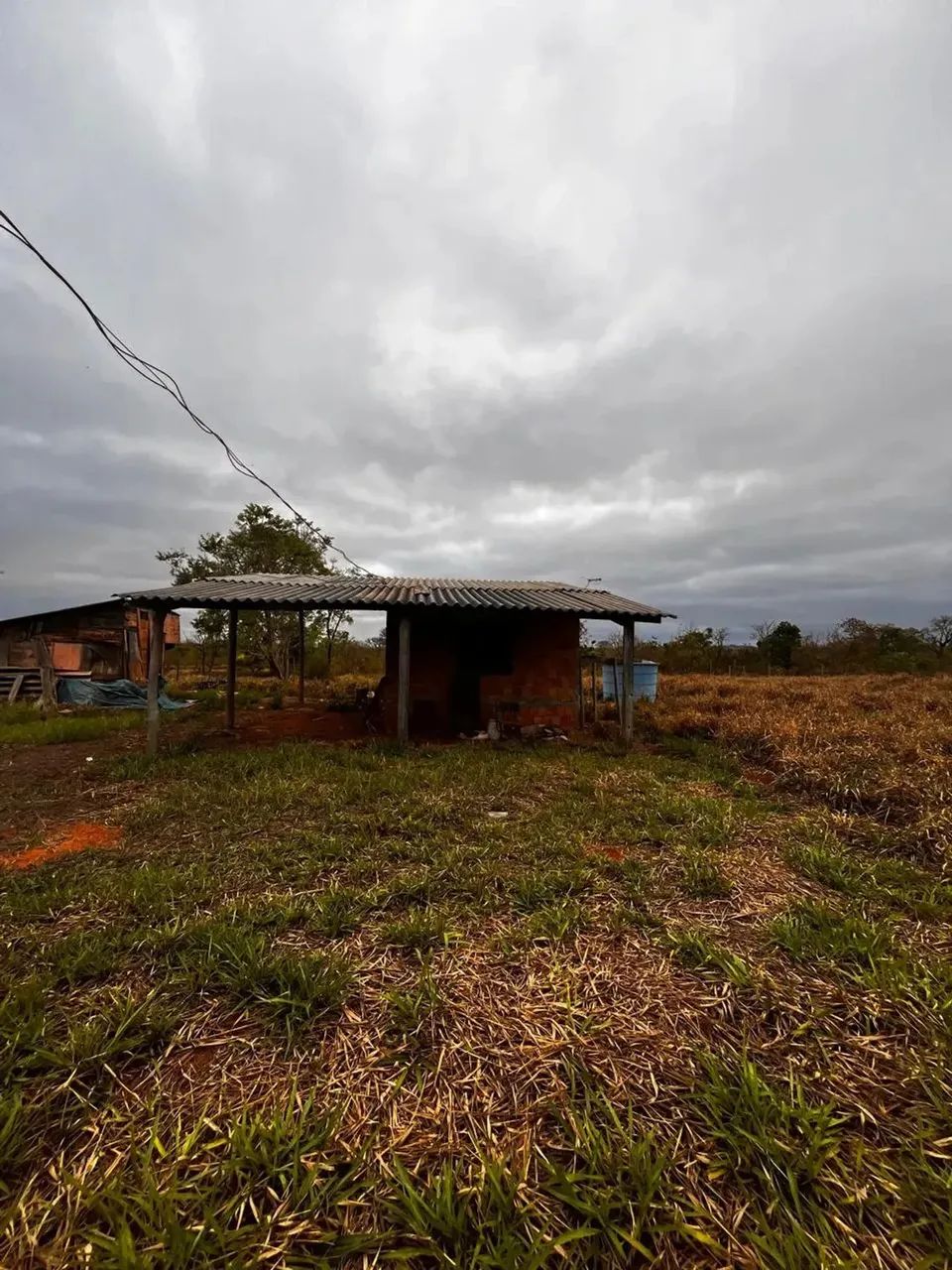 CÓD 556  Chácara 7 hectares  30 km de Campo Grande/MS (MS-040) - Foto 2
