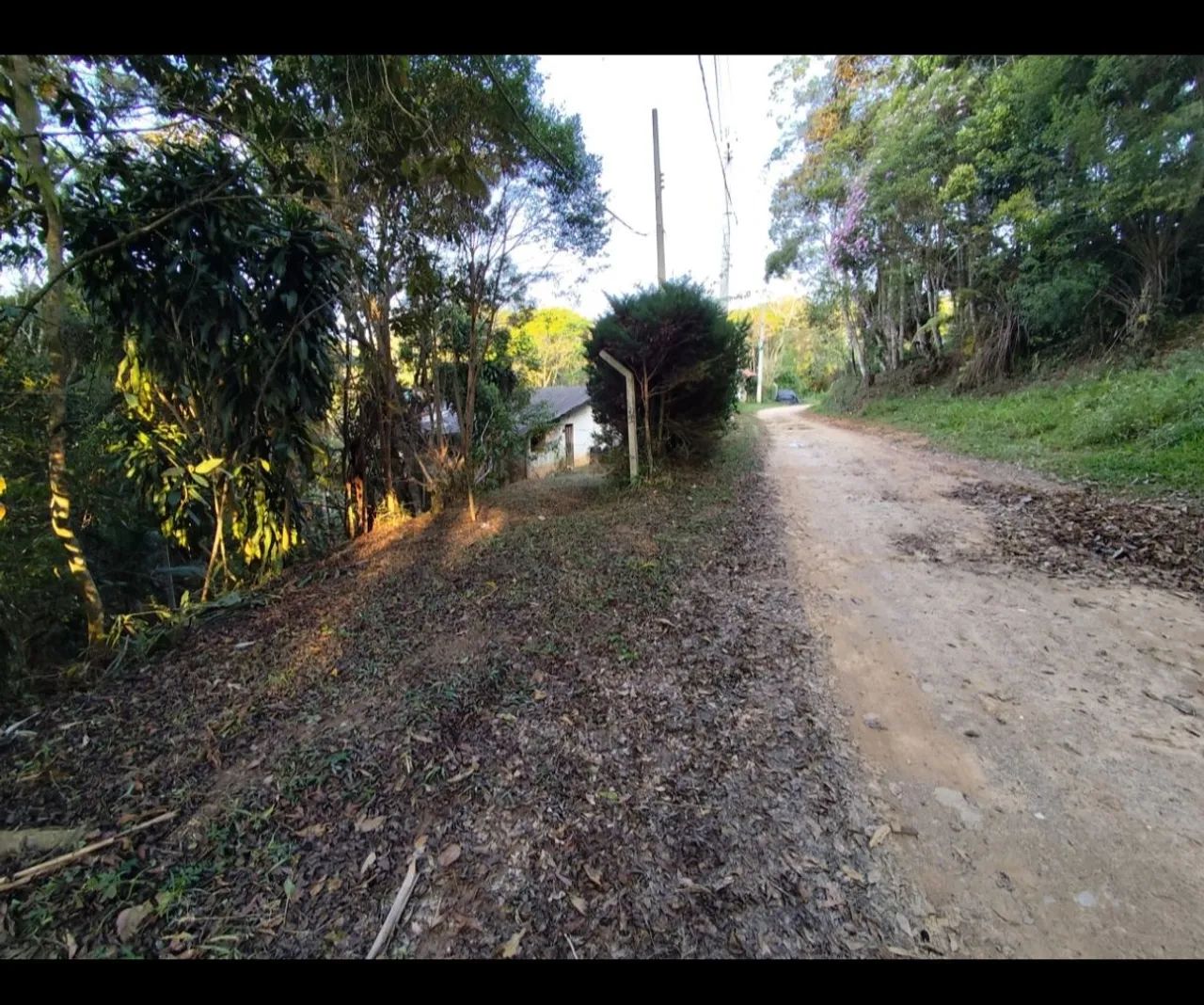Foto - Embu-Guaçu - Penteado