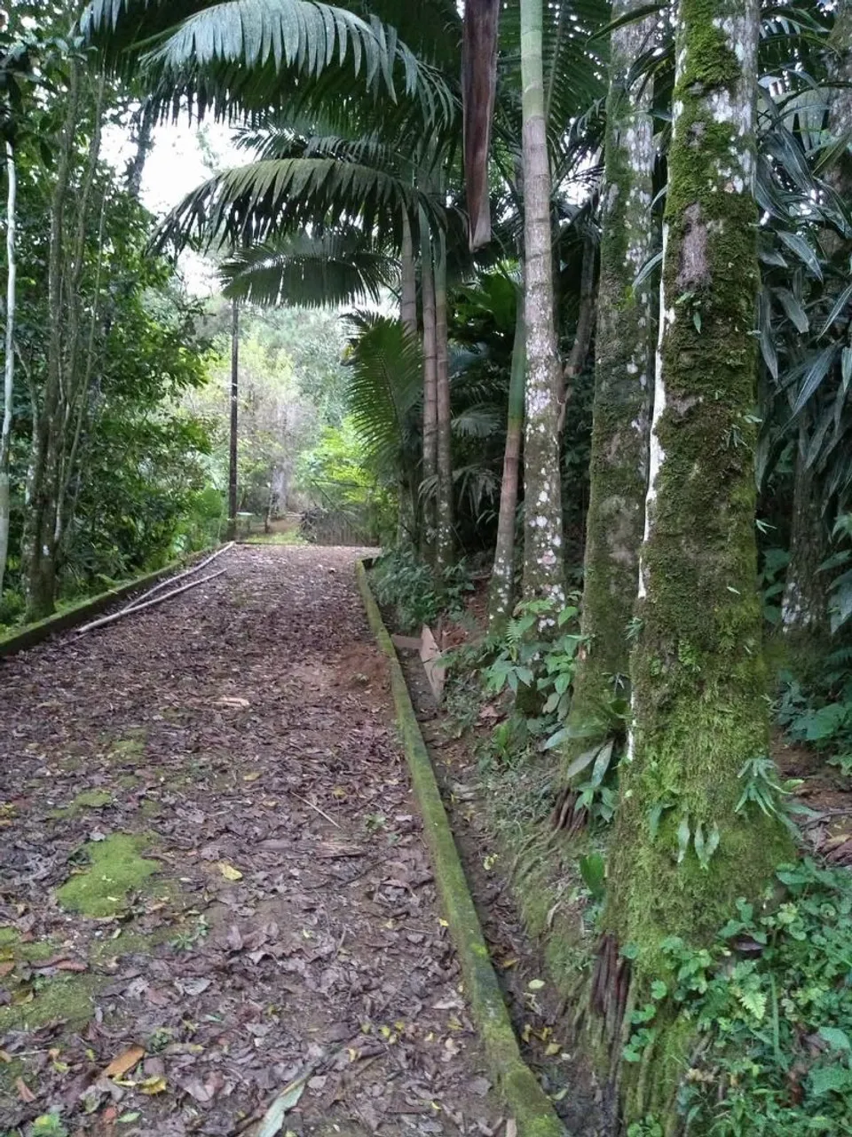 Sítio com duas casas na vila Itoupava negociável aceito casa ou apto no pagamento.