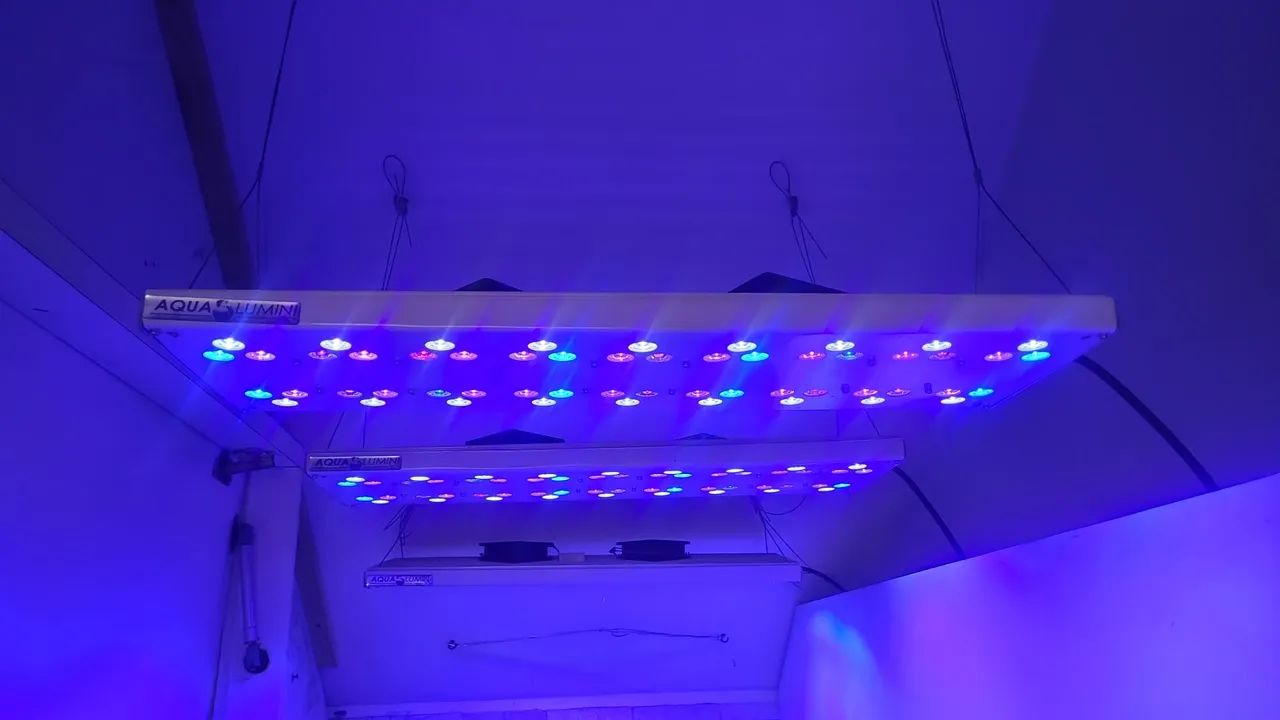 Luminária Aquário Marinho 60cm 162W
