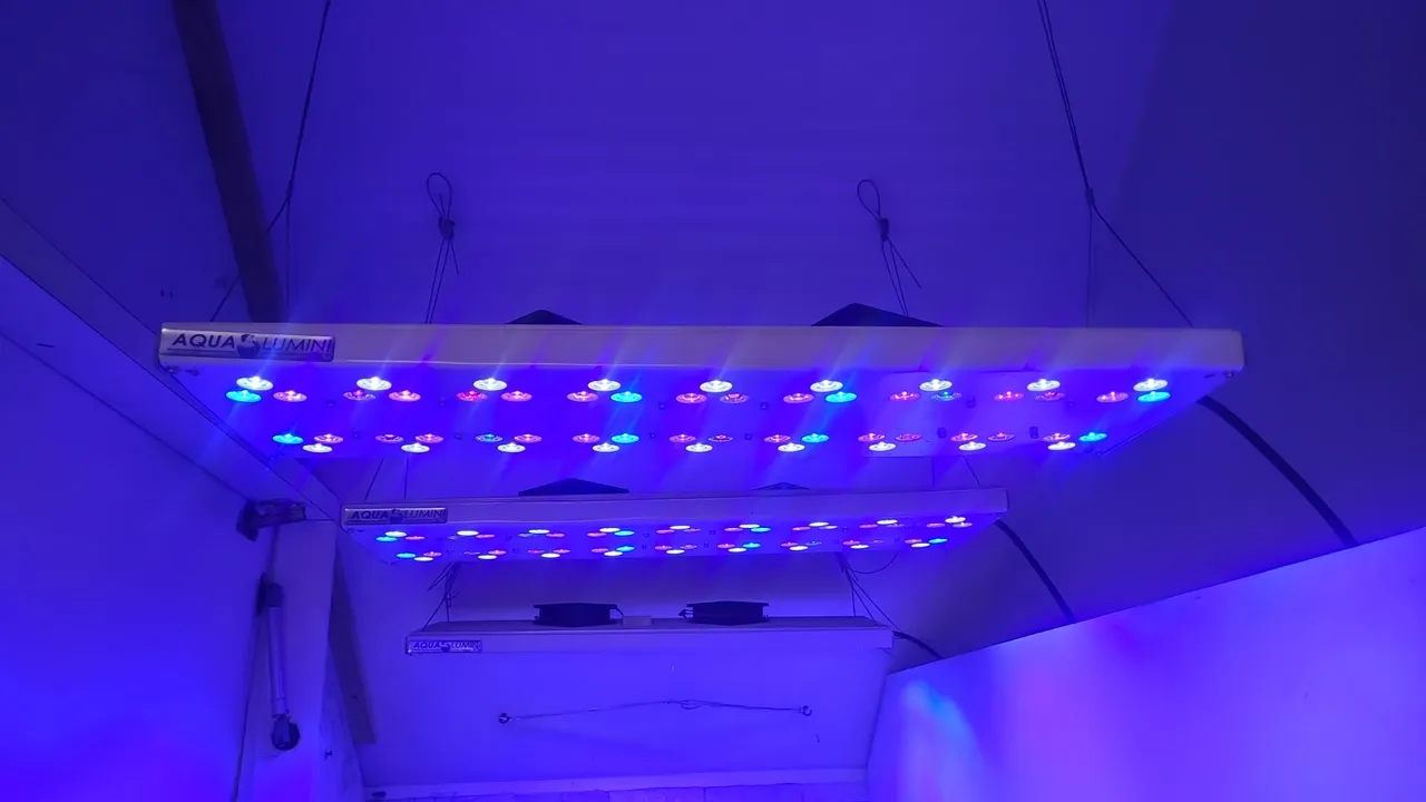 Luminária Aquário Marinho 60cm 180W