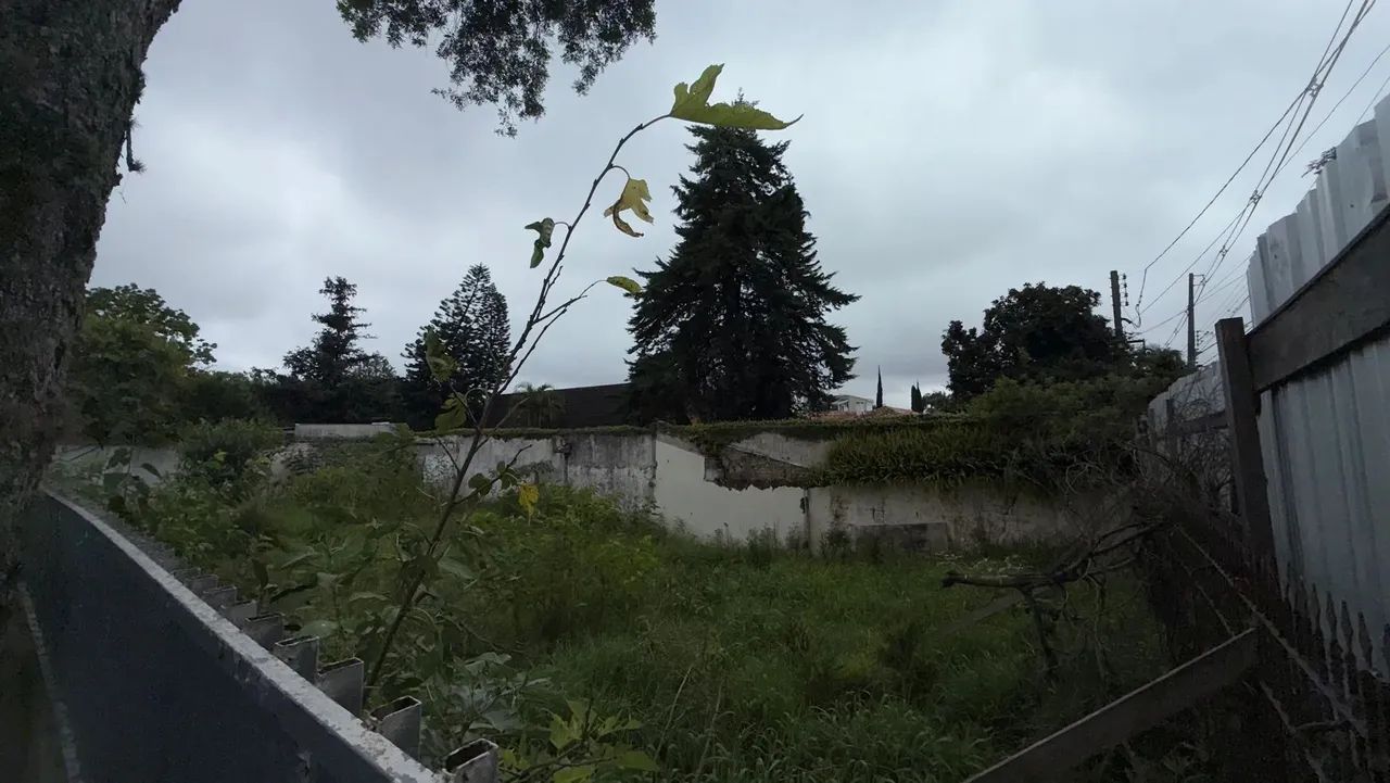 Terreno Venda  - Hugo Langue - Foto 8