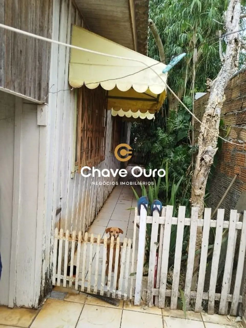 Terreno à venda com 588 m² no Claudete - Foto 5