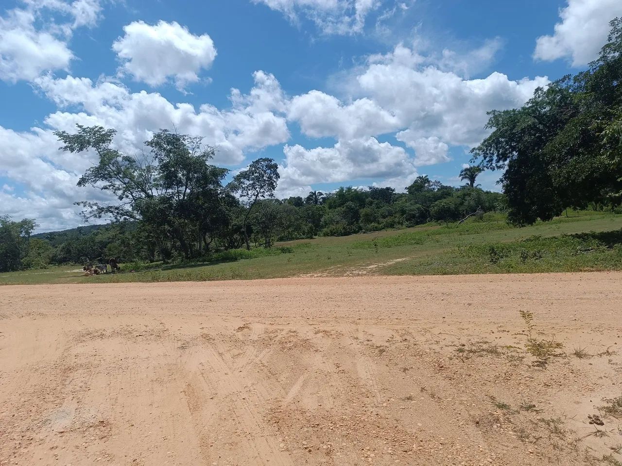 Vendo um terreno para sítio com olho d'água 