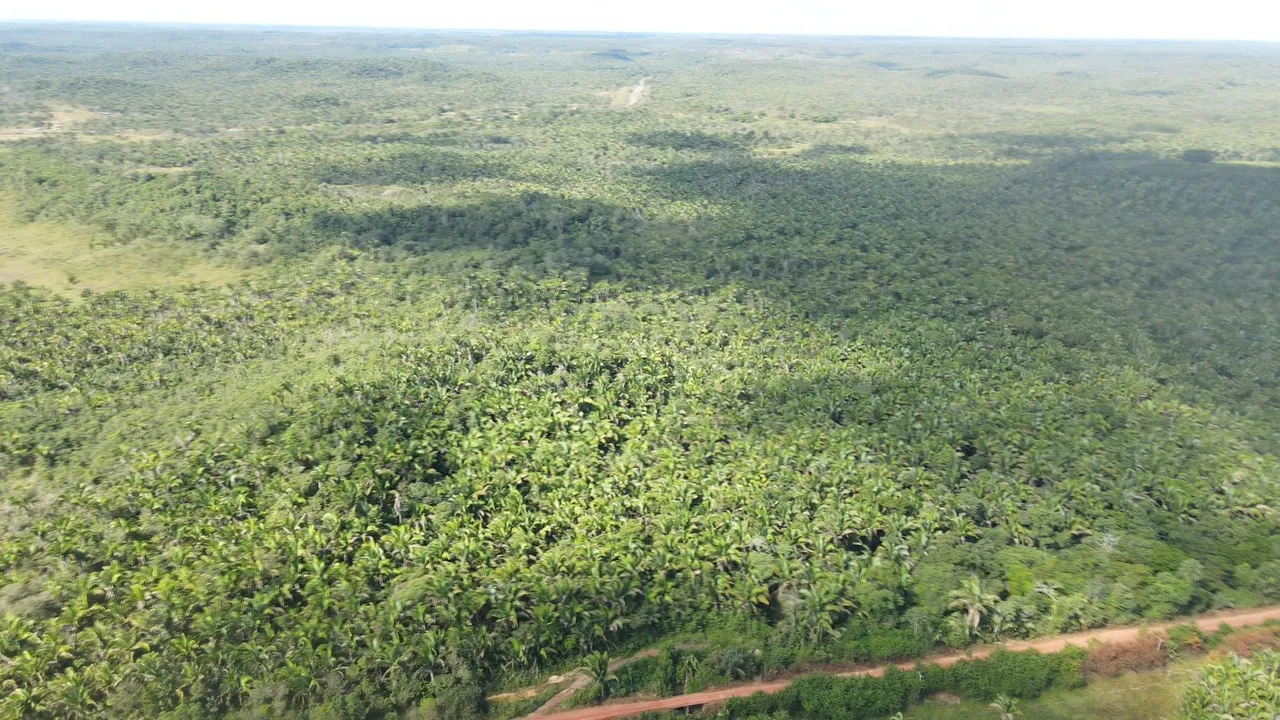 366 HECTARES EM ITAPECURU