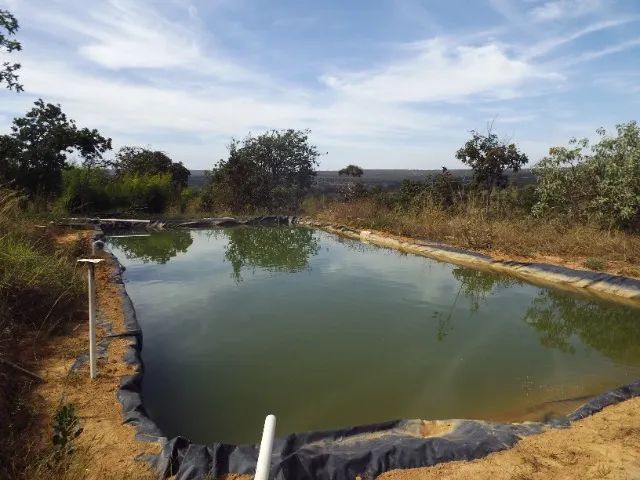 Fazenda Small Cactus - Foto 4