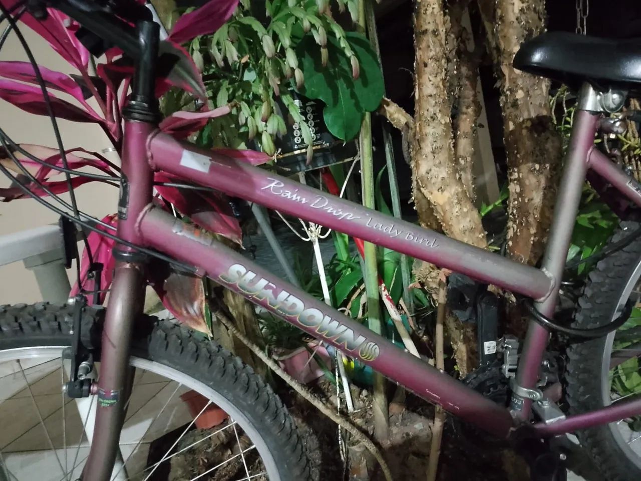 Bicicleta Sundown  - Foto 2