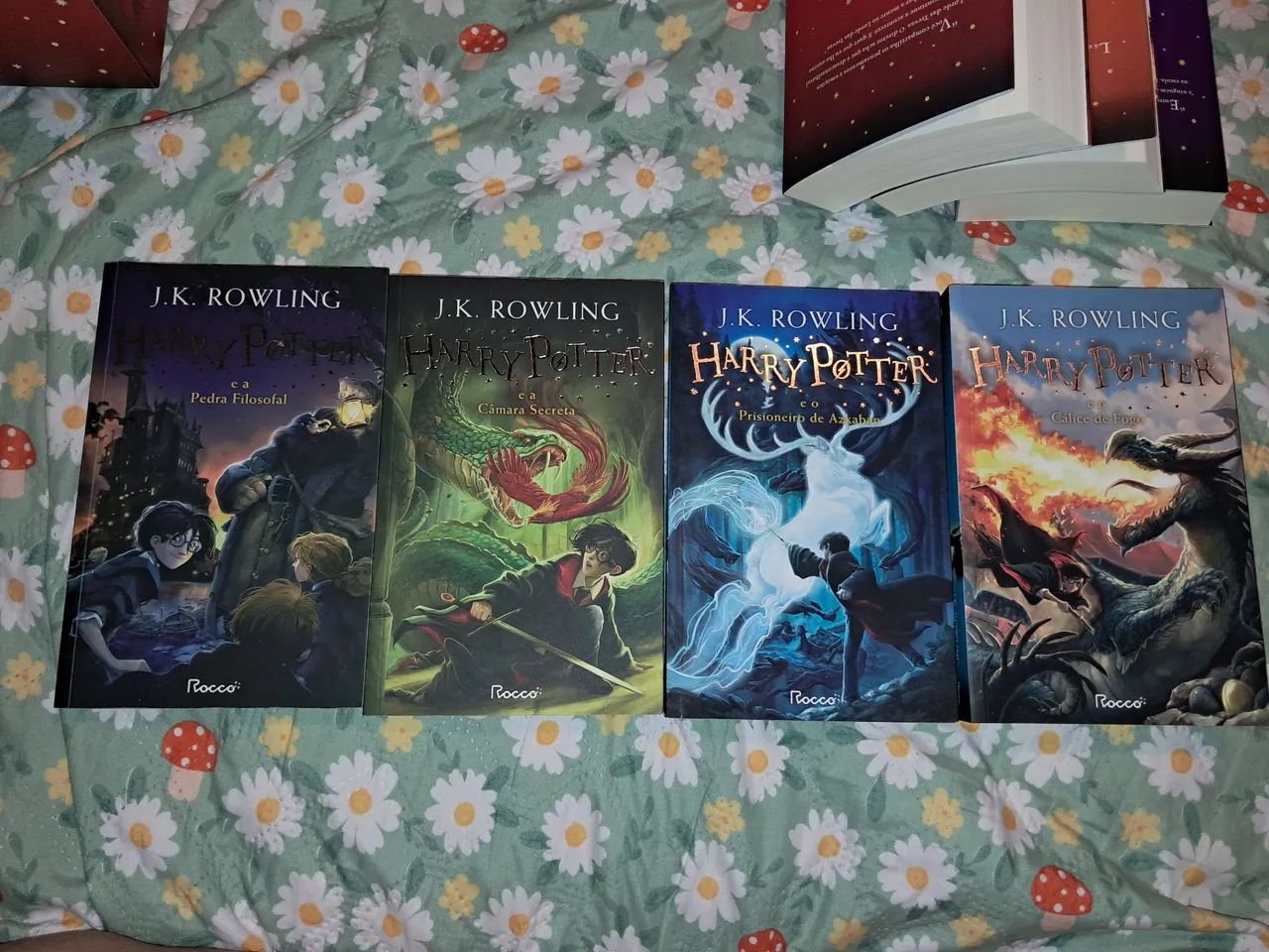 Box de Harry Potter  - Foto 5