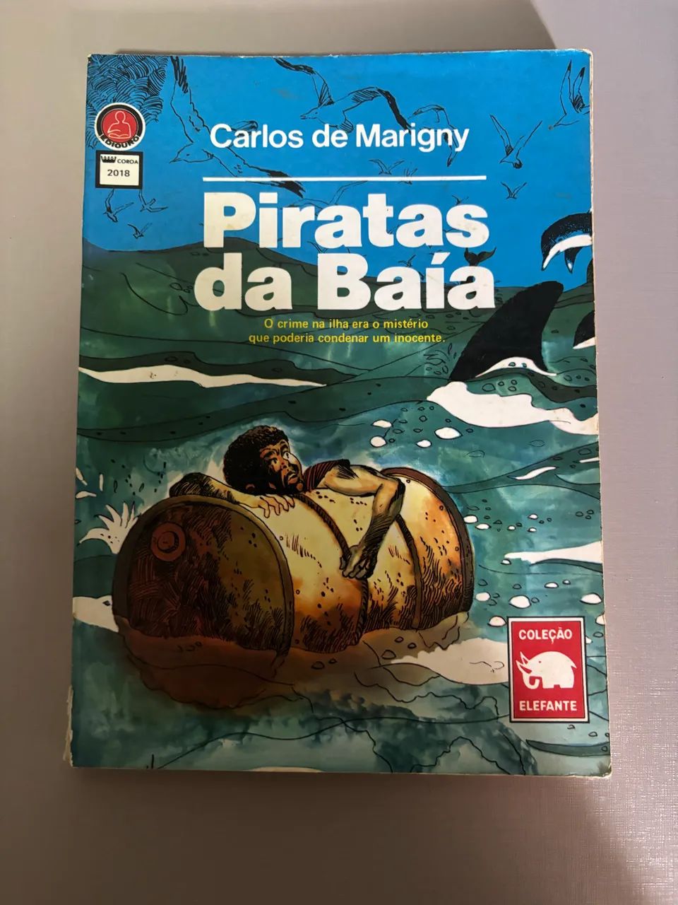 Livro - Piratas da Baía