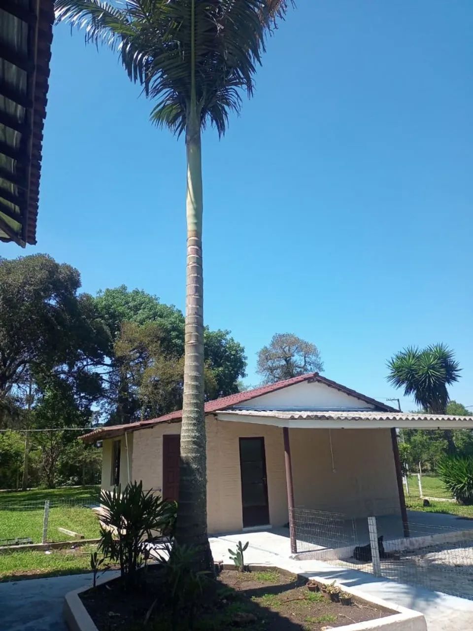Chácara Guarituba Piraquara  - Foto 5