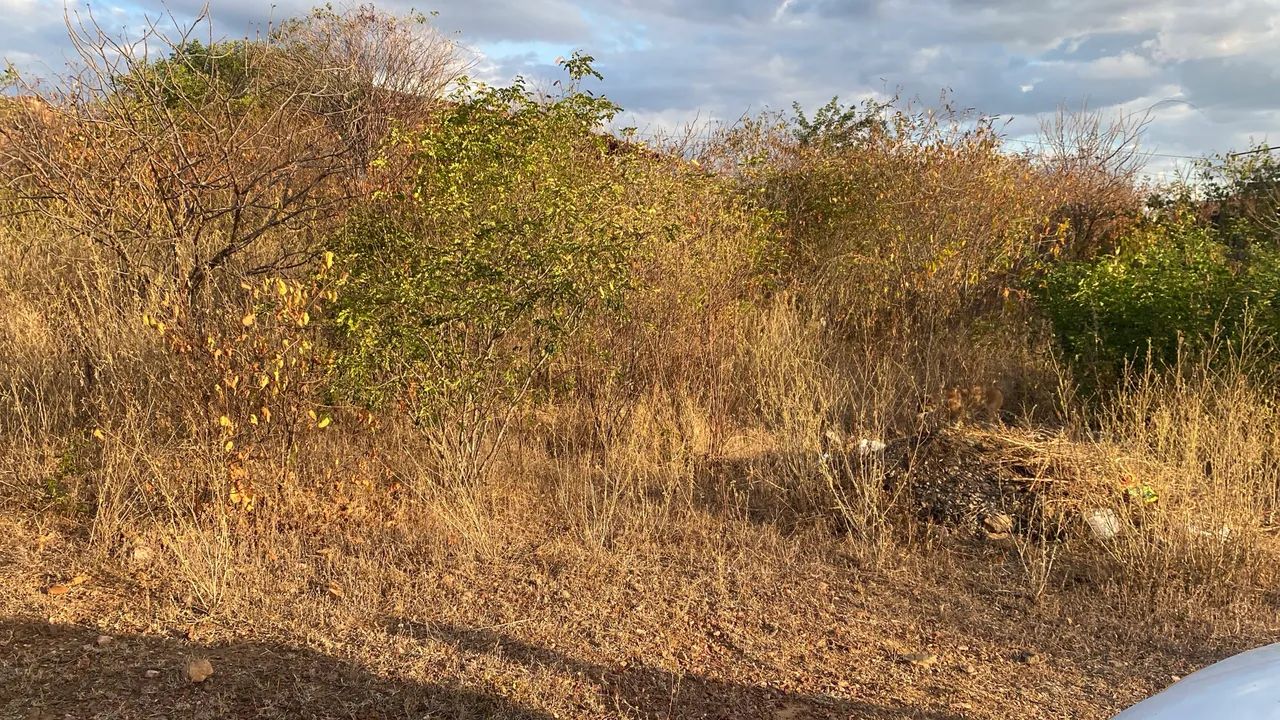 Vendo terreno para construção de imóvel  - Foto 2