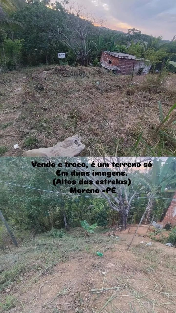 Foto - Moreno - 