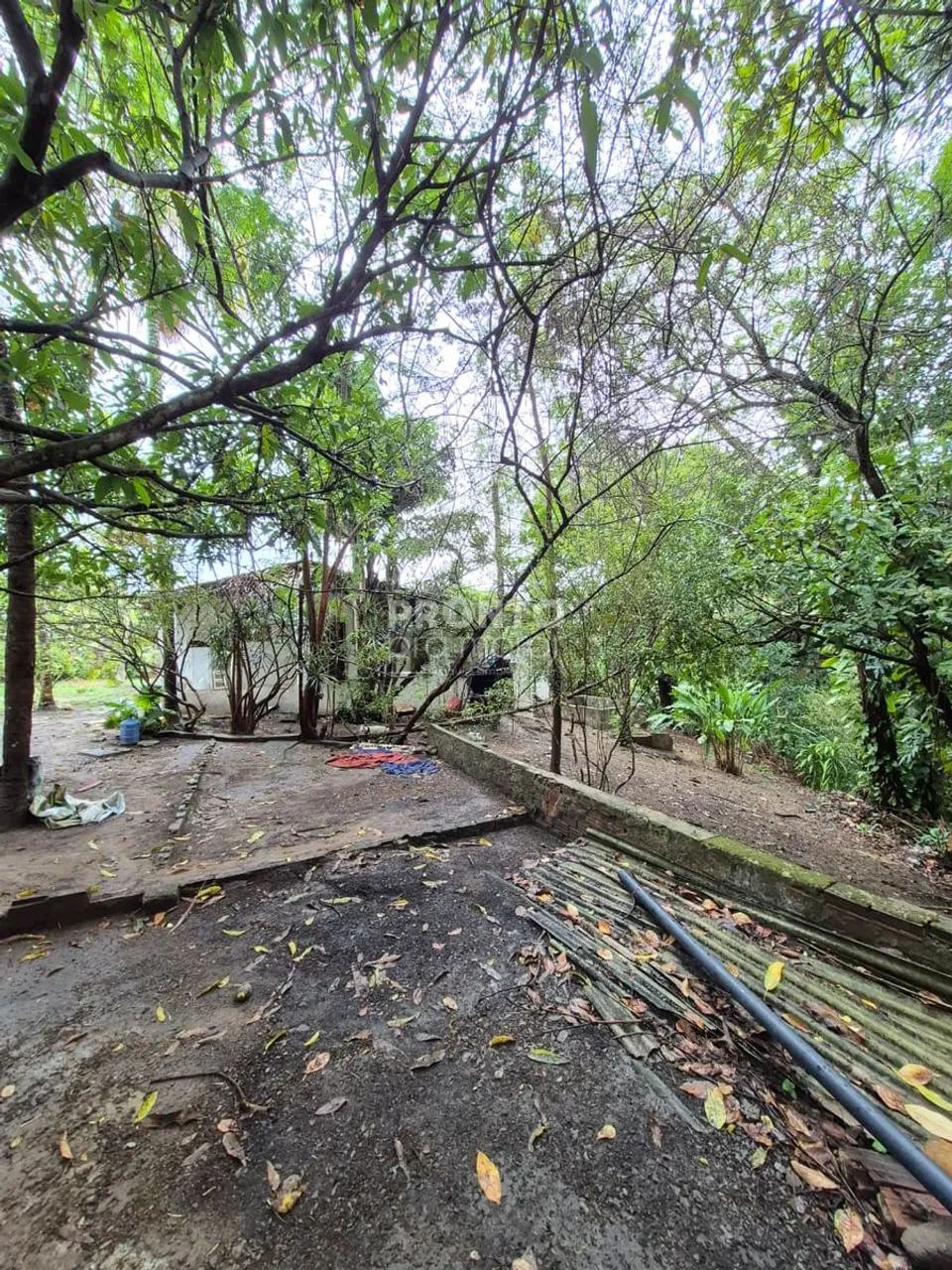 Lote/Terreno/Condomínio em Guabiraba - Foto 4