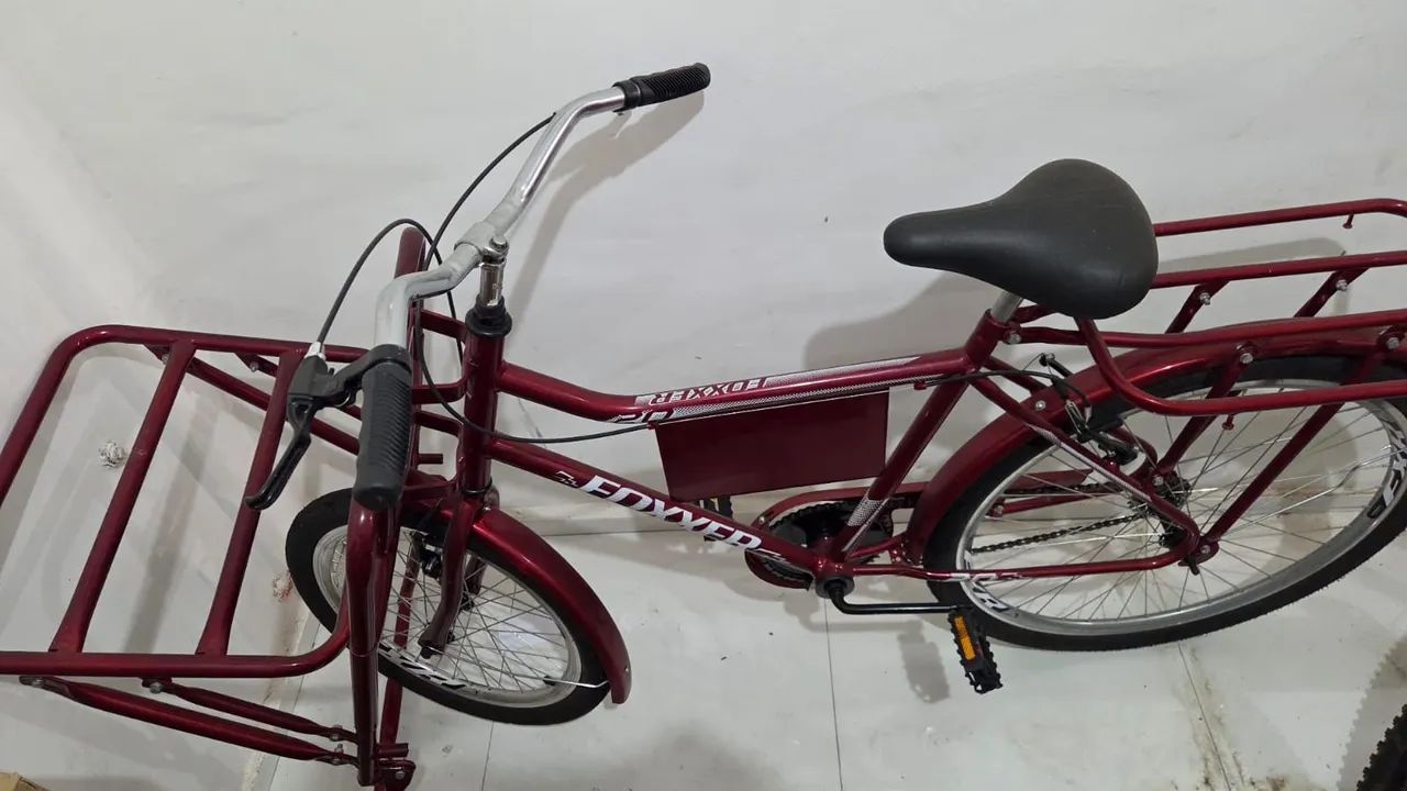 Bicicleta cargueira 