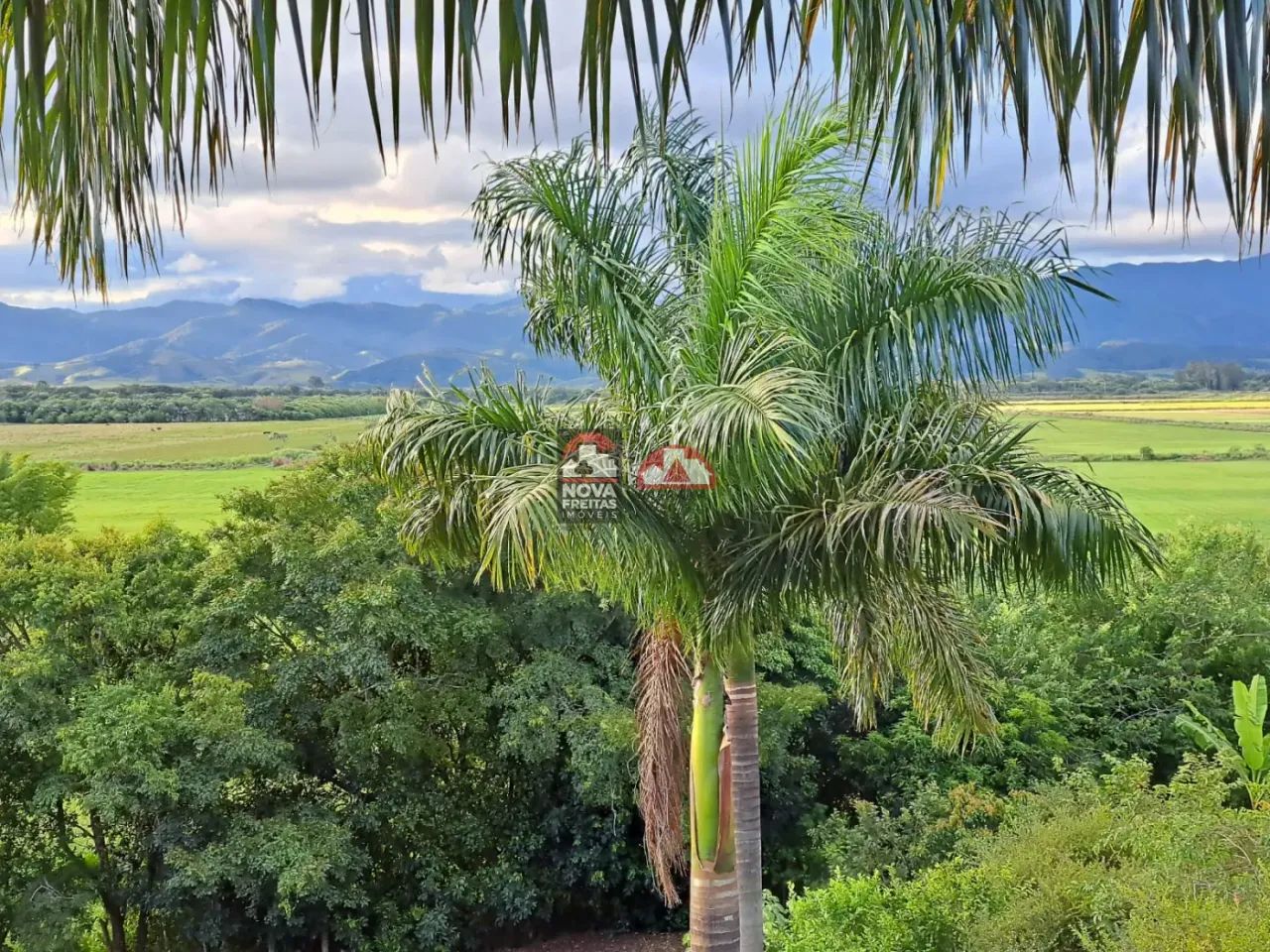 Terreno Área em Taubaté - Foto 3