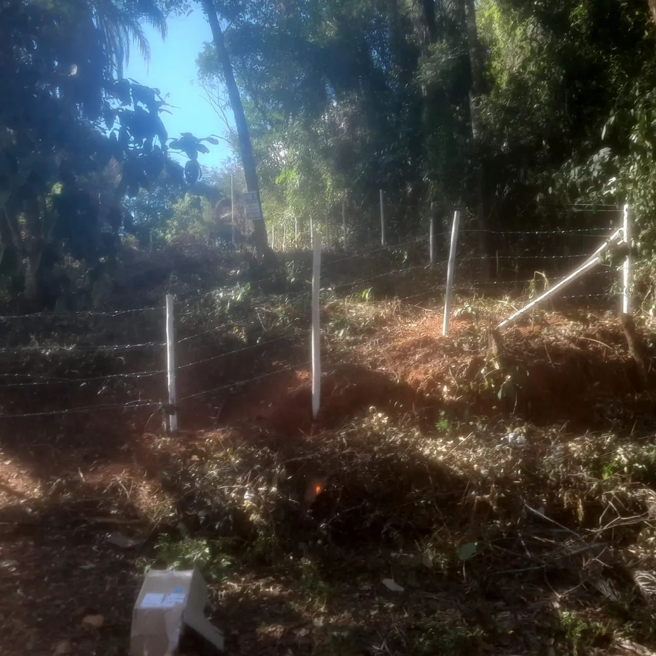 Lotes com escritura e registro  - Foto 2