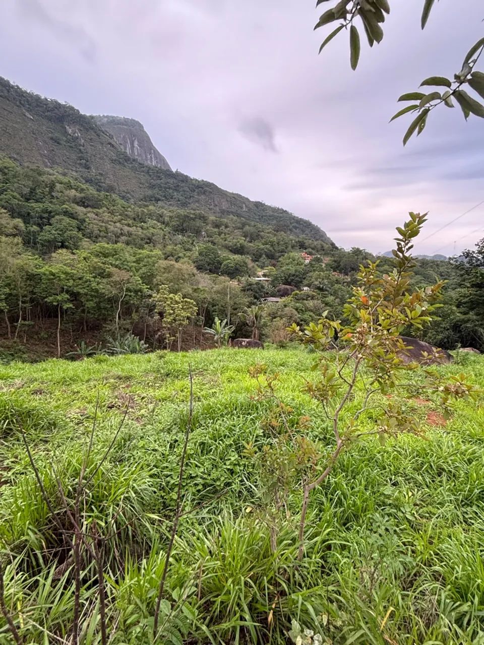 Terreno em Boa Vista - Foto 4