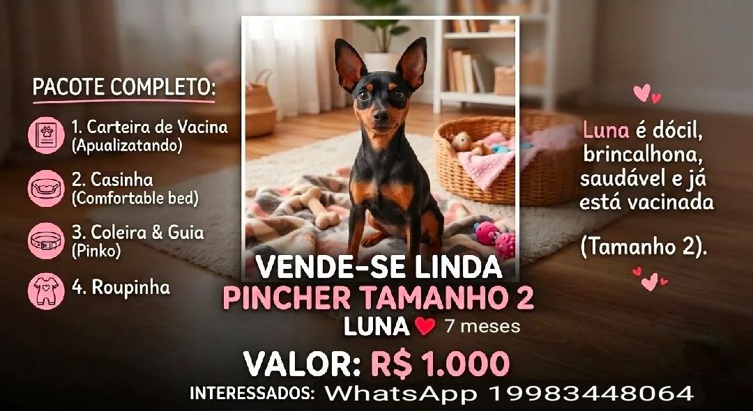 Pincher 2