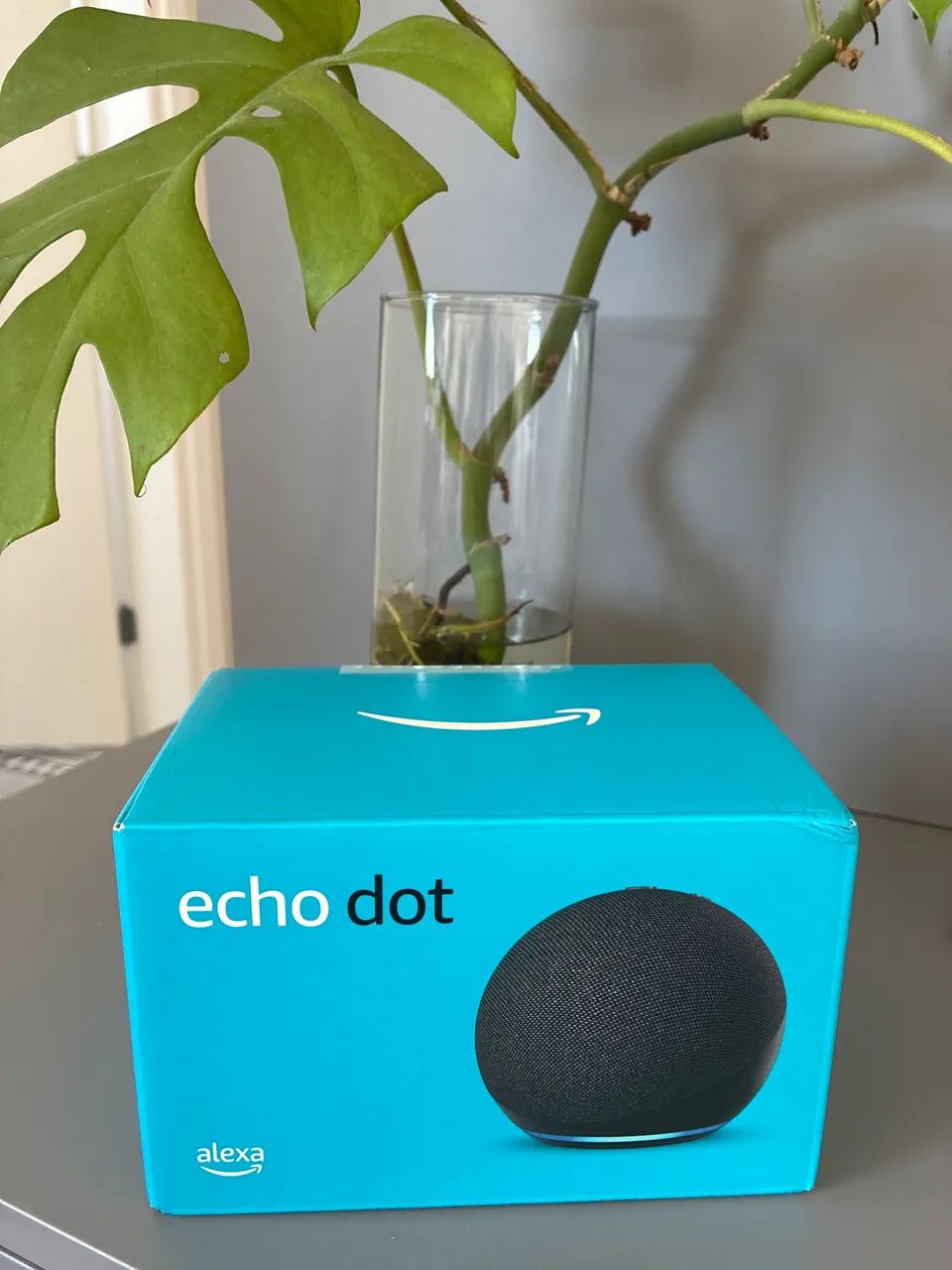 Echo dot Alexa