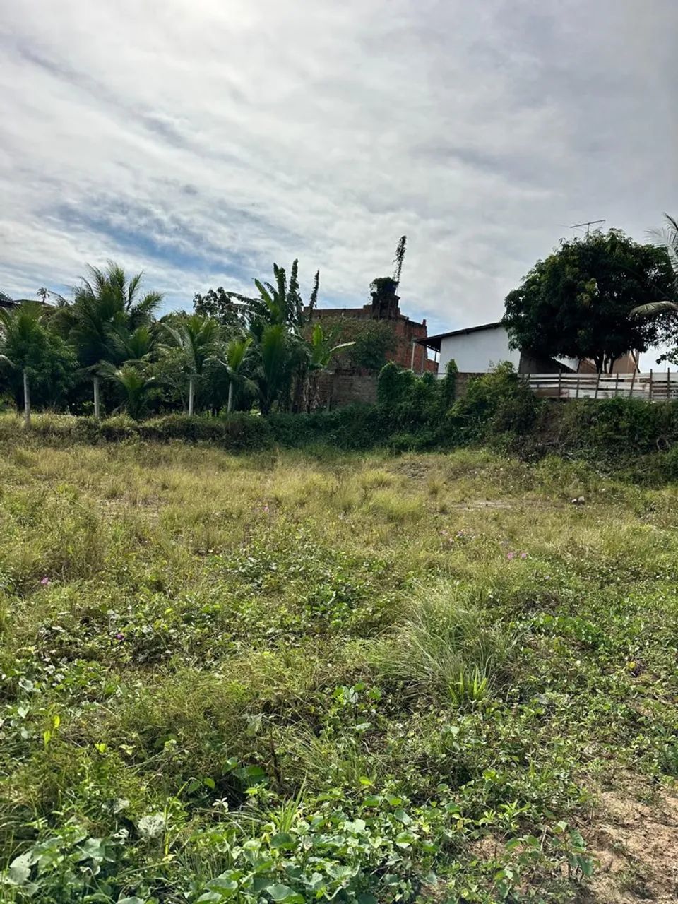 TERRENO 10x25 - Foto 2