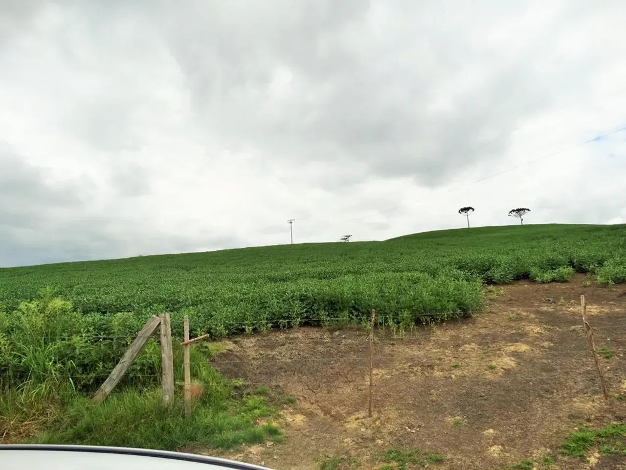 Fazenda com 320 hectares - Bom Retiro - Serra Catarinense - Foto 5