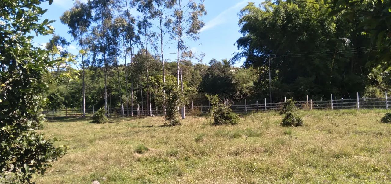 Sitio de 42000mts planos e gramados. - Foto 4